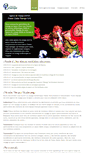 Mobile Screenshot of omni-links-europe.com